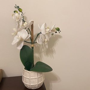 Ceramic Beautiful White Faux Orchid